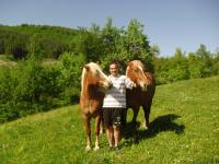 Къща за гости в Елена - снимка 8