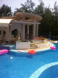 Стая в Златни Пясъци - снимка 3