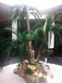 Стая в Златни Пясъци - снимка 5