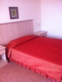 Стая в Златни Пясъци - снимка 7