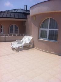 Стая в Златни Пясъци - снимка 9