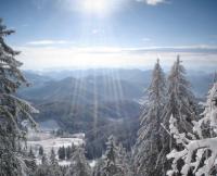 стая в Пампорово - снимка 6