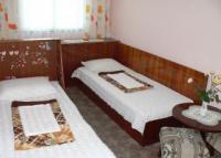 Стая в Варна - снимка 2