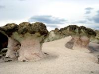 Каменни гъби кърджали - снимка 1
