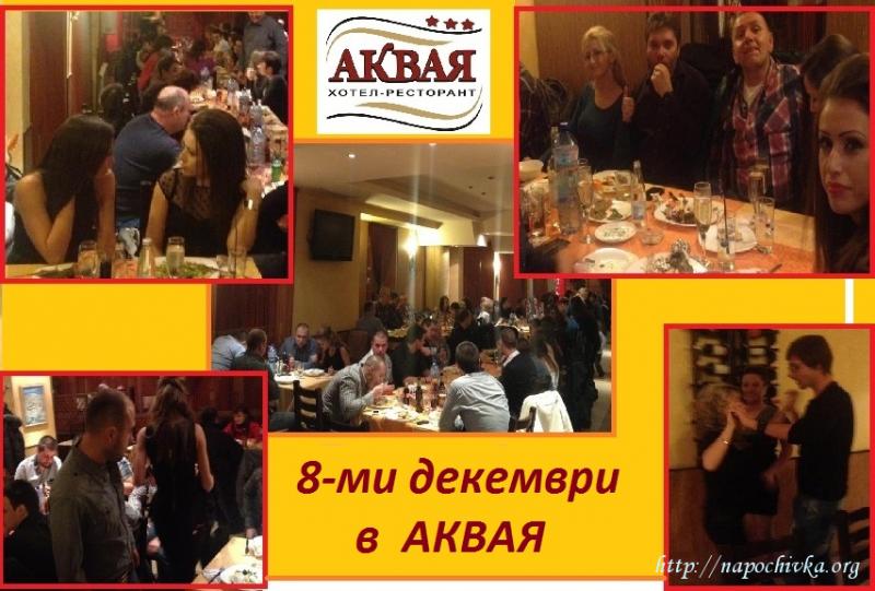 Целогодишно Стая Велико Търново