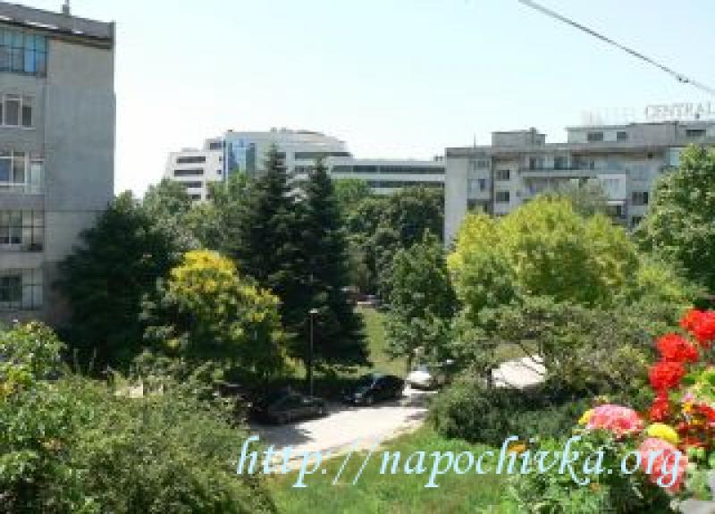 Лято Стая Варна